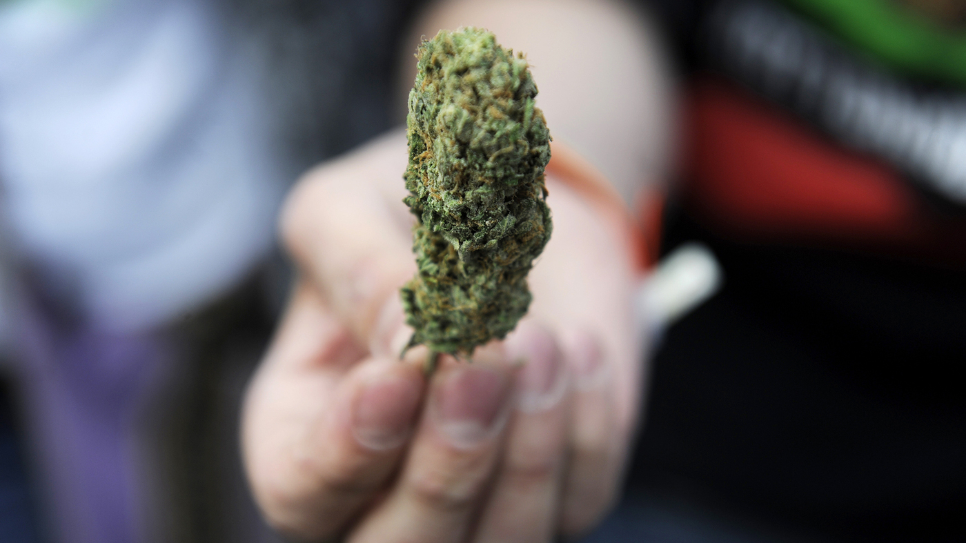 Using Marijuana In Colorado: All You Need To Know!